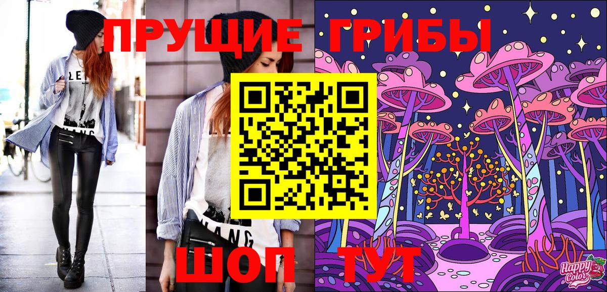Димитровград  Псилоцибиновые грибы мухоморы  Вход с VPN  Псилоцибиновые грибы MAGIC MUSHROOMS 